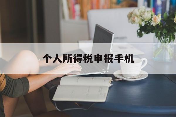 个人所得税申报手机(个人所得税申报手机号没有怎么办)