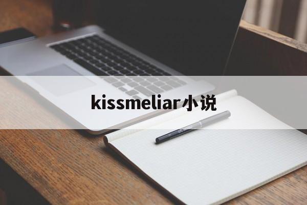 kissmeliar小说(kiss me liar 作者zig)